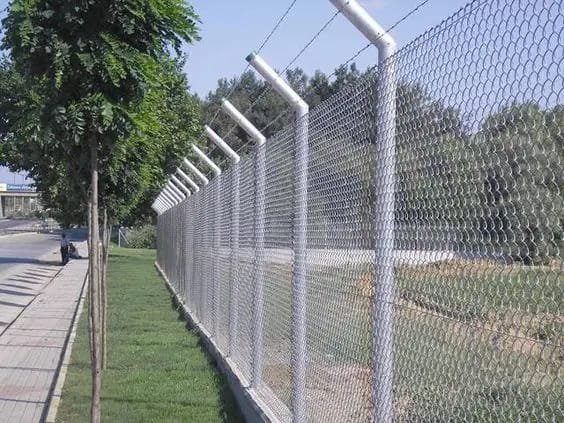 شبوك ونخيل المملكة – حماية وأصالة بتصاميم عصرية